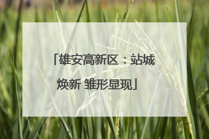雄安高新区：站城焕新 雏形显现