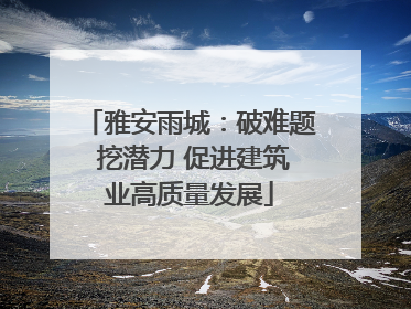 雅安雨城：破难题 挖潜力 促进建筑业高质量发展
