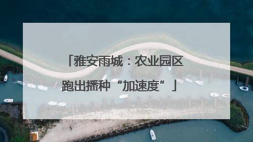雅安雨城：农业园区跑出播种“加速度”