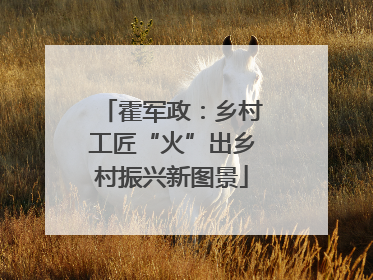 霍军政：乡村工匠“火”出乡村振兴新图景