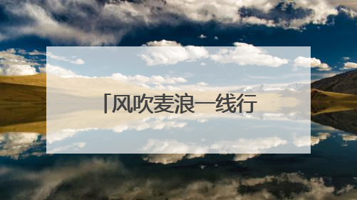 风吹麦浪一线行｜抢！河北小麦大规模机收作业正式拉开帷幕