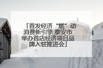 首发经济“燃”动消费新引擎 泰安市举办首店经济项目品牌入驻推进会