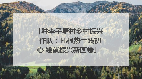 驻李子塘村乡村振兴工作队：扎根热土践初心 绘就振兴新画卷