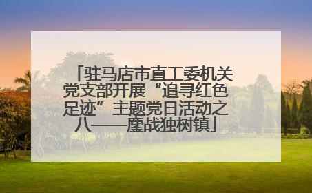 驻马店市直工委机关党支部开展“追寻红色足迹”主题党日活动之八——鏖战独树镇
