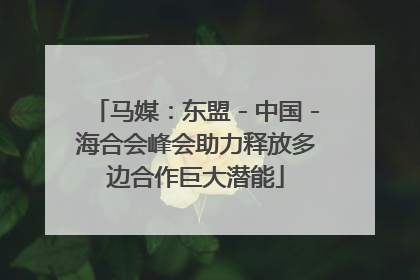 马媒：东盟－中国－海合会峰会助力释放多边合作巨大潜能