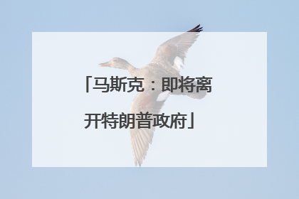 马斯克：即将离开特朗普政府