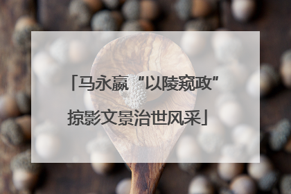 马永嬴“以陵窥政” 掠影文景治世风采