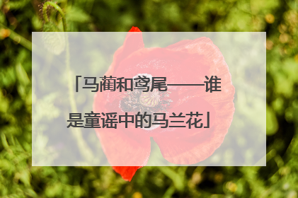 马蔺和鸢尾——谁是童谣中的马兰花