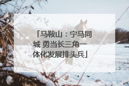 马鞍山：宁马同城 勇当长三角一体化发展排头兵