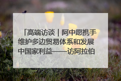 高端访谈｜阿中愿携手维护多边贸易体系和发展中国家利益——访阿拉伯议会议长亚马希