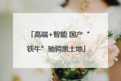 高端+智能 国产“铁牛”驰骋黑土地