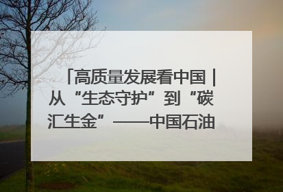 高质量发展看中国｜从“生态守护”到“碳汇生金”——中国石油大庆油田绿色蝶变