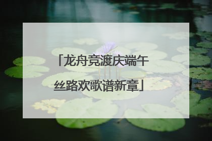 龙舟竞渡庆端午 丝路欢歌谱新章