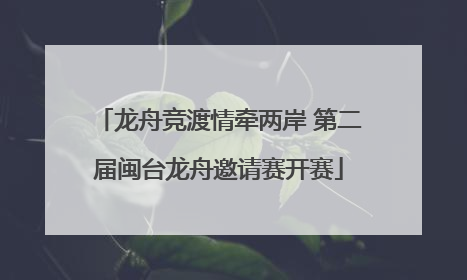 龙舟竞渡情牵两岸 第二届闽台龙舟邀请赛开赛