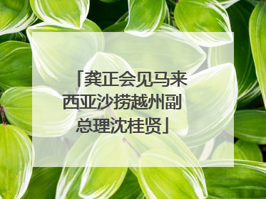 龚正会见马来西亚沙捞越州副总理沈桂贤