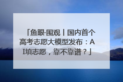 鱼眼·围观丨国内首个高考志愿大模型发布：AI填志愿，靠不靠谱？