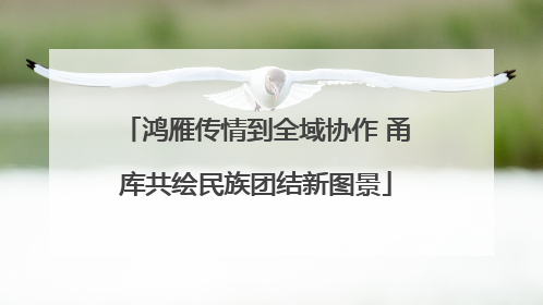 鸿雁传情到全域协作 甬库共绘民族团结新图景