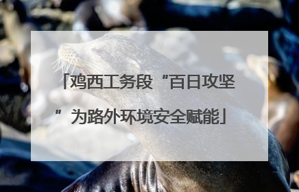 鸡西工务段“百日攻坚”为路外环境安全赋能