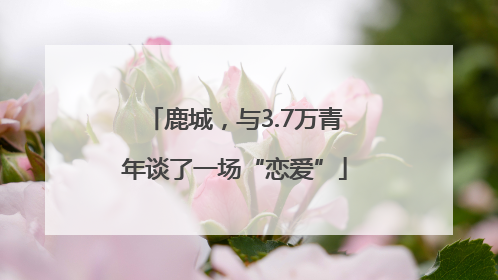 鹿城，与3.7万青年谈了一场“恋爱”