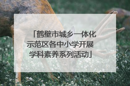 鹤壁市城乡一体化示范区各中小学开展学科素养系列活动