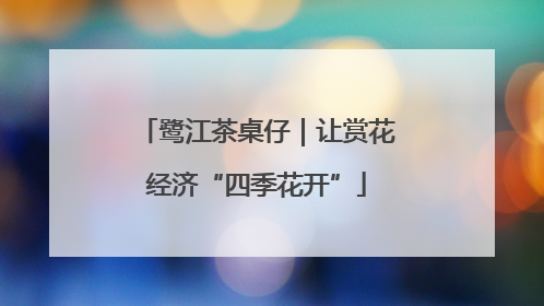 鹭江茶桌仔｜让赏花经济“四季花开”