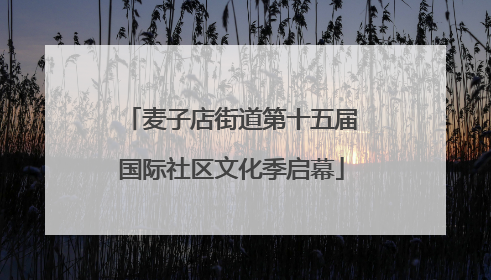 麦子店街道第十五届国际社区文化季启幕