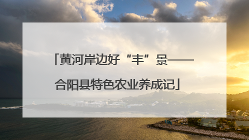 黄河岸边好“丰”景——合阳县特色农业养成记