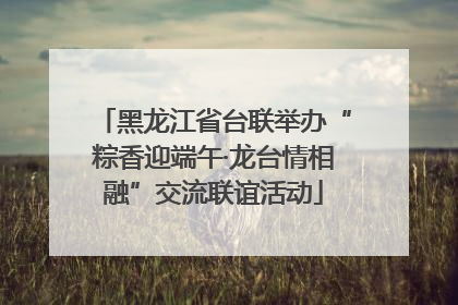 黑龙江省台联举办“粽香迎端午·龙台情相融”交流联谊活动