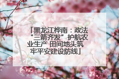 黑龙江桦南：政法“三箭齐发”护航农业生产 田间地头筑牢平安建设防线