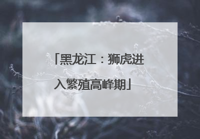 黑龙江：狮虎进入繁殖高峰期