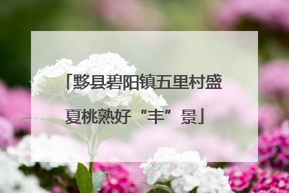 黟县碧阳镇五里村盛夏桃熟好“丰”景