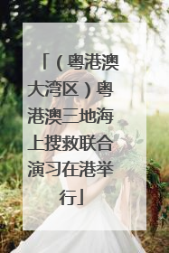 （粤港澳大湾区）粤港澳三地海上搜救联合演习在港举行