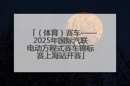 （体育）赛车——2025年国际汽联电动方程式赛车锦标赛上海站开赛