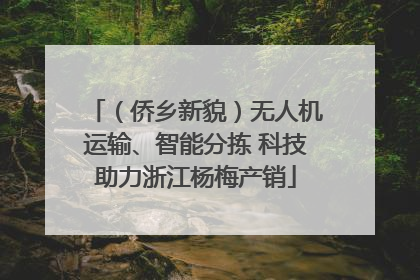 （侨乡新貌）无人机运输、智能分拣 科技助力浙江杨梅产销