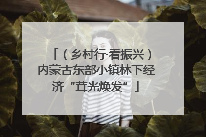 （乡村行·看振兴）内蒙古东部小镇林下经济“茸光焕发”