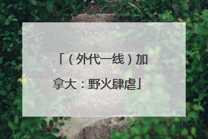 （外代一线）加拿大：野火肆虐