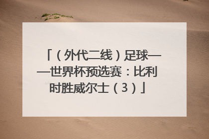 （外代二线）足球——世界杯预选赛：比利时胜威尔士（3）