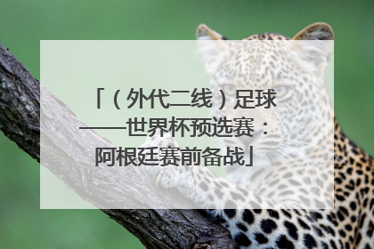 （外代二线）足球——世界杯预选赛：阿根廷赛前备战