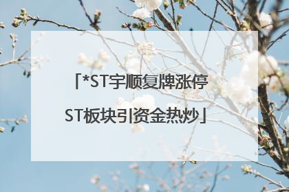 *ST宇顺复牌涨停 ST板块引资金热炒