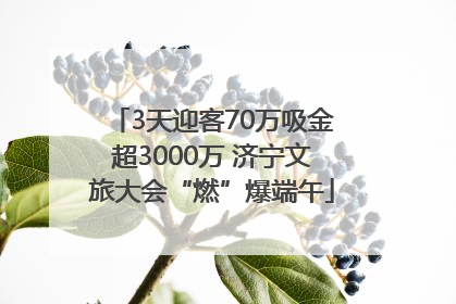 3天迎客70万吸金超3000万 济宁文旅大会“燃”爆端午