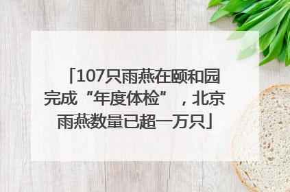 107只雨燕在颐和园完成“年度体检”，北京雨燕数量已超一万只