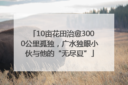 10亩花田治愈3000公里孤独，广水独眼小伙与他的“无尽夏”