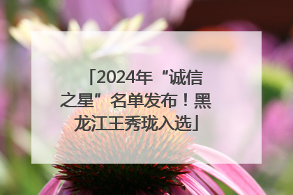 2024年“诚信之星”名单发布！黑龙江王秀珑入选