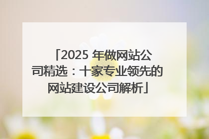 2025 年做网站公司精选：十家专业领先的网站建设公司解析