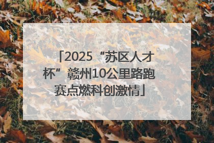 2025“苏区人才杯”赣州10公里路跑赛点燃科创激情