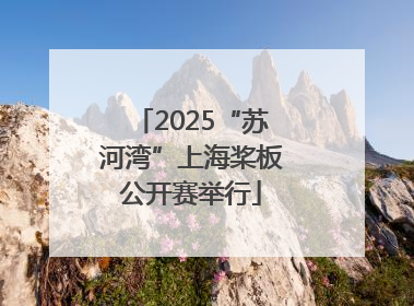 2025“苏河湾”上海桨板公开赛举行
