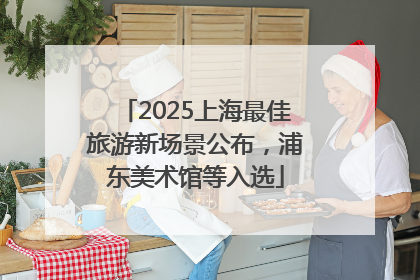 2025上海最佳旅游新场景公布，浦东美术馆等入选