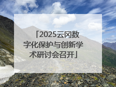 2025云冈数字化保护与创新学术研讨会召开
