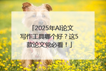 2025年AI论文写作工具哪个好？这5款论文党必看！