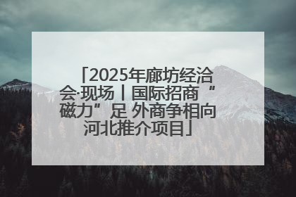 2025年廊坊经洽会·现场丨国际招商“磁力”足 外商争相向河北推介项目